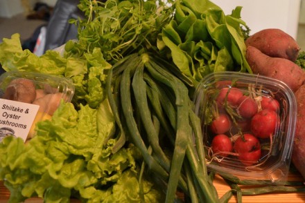First csa spoils of the season! Bibb and green lettuce, kale, green onion, sweet potatoes, pea shoots, radish, and mushrooms.